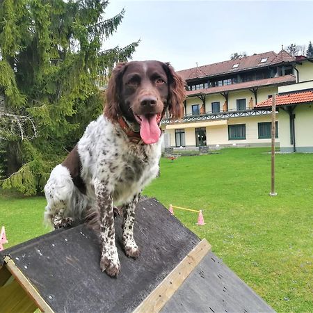 Erlebnis-Hotel-Appartements Latschach ober dem Faakersee Εξωτερικό φωτογραφία