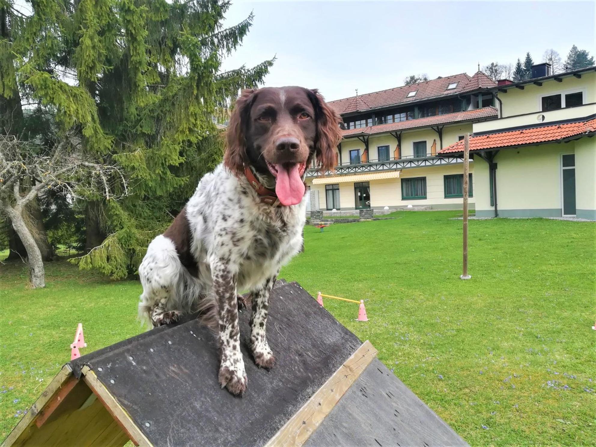 Erlebnis-Hotel-Appartements Latschach ober dem Faakersee Εξωτερικό φωτογραφία
